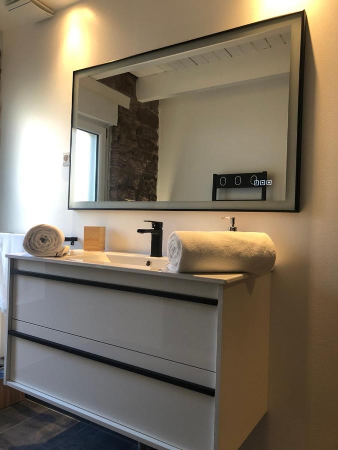 Appart Luxe Atypique 埃皮纳勒 外观 照片